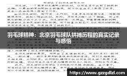 羽毛球精神：北京羽毛球队拼搏历程的真实记录与感悟